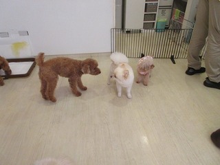 IMG_2317.jpg
