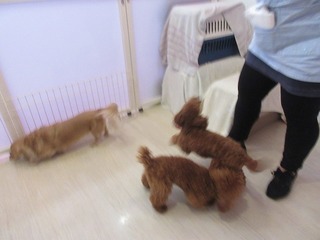 IMG_2322.jpg