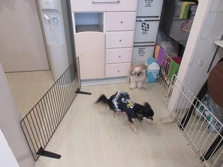 IMG_2333.jpg