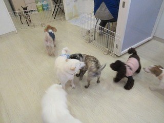 IMG_2375.jpg