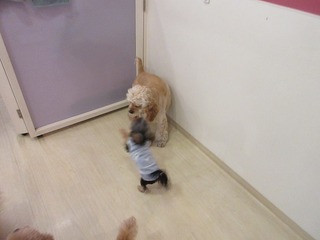 IMG_2420.jpg