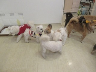 IMG_2450.jpg