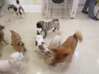 IMG_2464.jpg