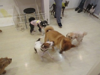 IMG_2467.jpg