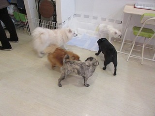 IMG_2475.jpg