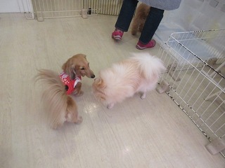IMG_2519.jpg