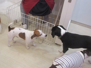 IMG_2523.jpg