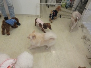 IMG_2543.jpg