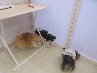 IMG_2570.jpg