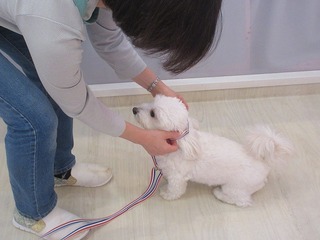 IMG_2593.jpg