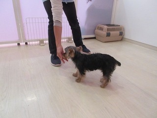 IMG_2620.jpg