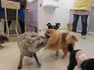 IMG_2624.jpg
