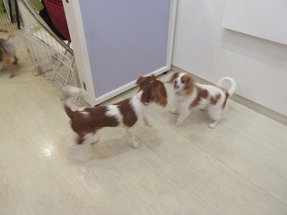 IMG_2656.jpg