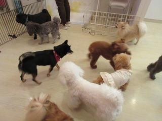 IMG_2657.jpg