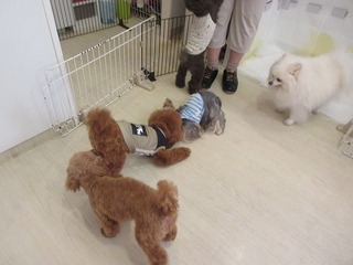 IMG_2664.jpg