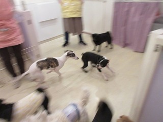 IMG_2705.jpg