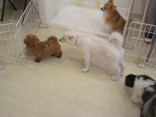 IMG_2710.jpg