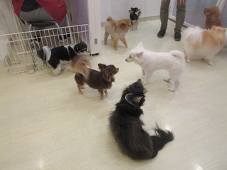 IMG_2728.jpg
