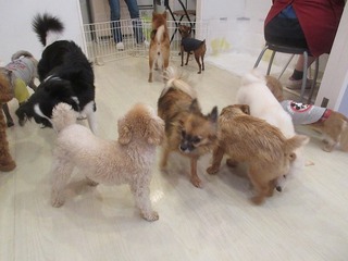 IMG_2737.jpg