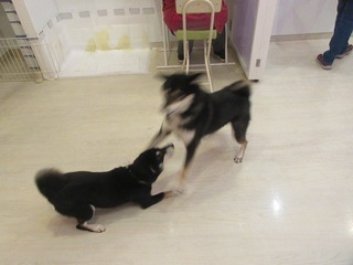 IMG_2742.jpg