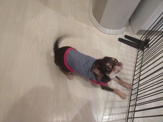 IMG_2791.jpg
