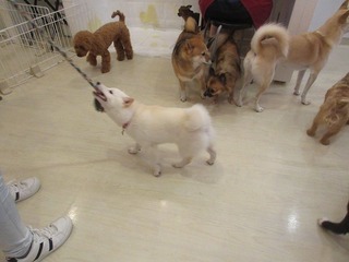 IMG_2799.jpg