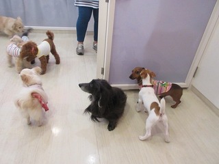 IMG_2801.jpg