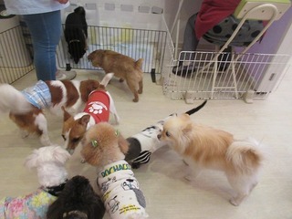 IMG_2836.jpg