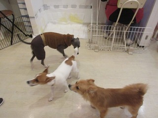 IMG_2839.jpg