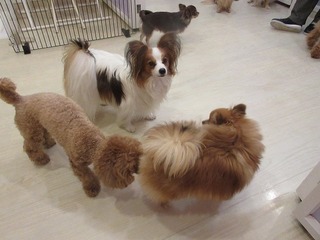 IMG_2839.jpg