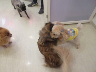 IMG_2845.jpg