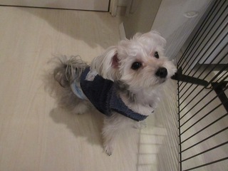 IMG_2847.jpg