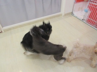 IMG_2876.jpg