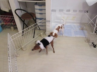 IMG_2879.jpg