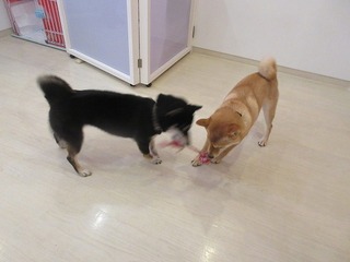 IMG_2882.jpg