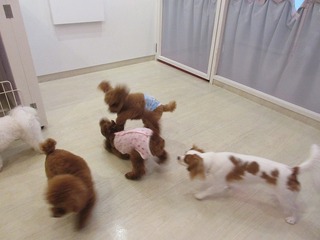 IMG_2887.jpg