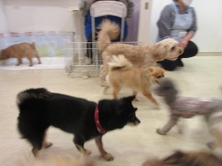 IMG_2891.jpg