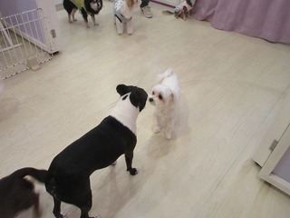 IMG_2893.jpg