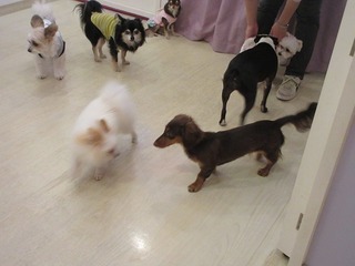 IMG_2900.jpg