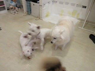 IMG_2905.jpg