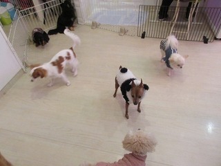 IMG_2911.jpg