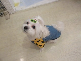 IMG_2932.jpg