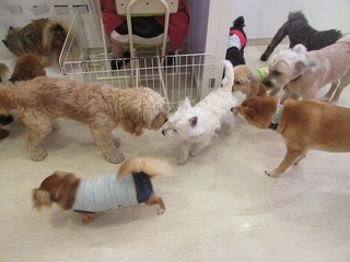 IMG_2936.jpg