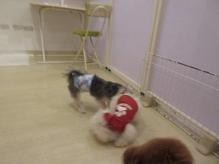 IMG_2936.jpg