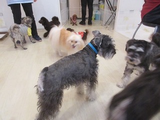 IMG_2948.jpg