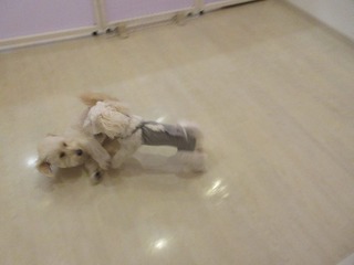 IMG_2958.jpg