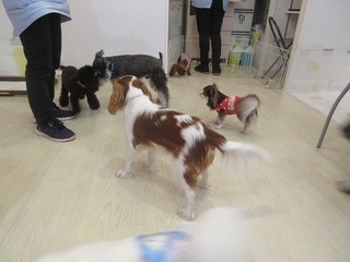 IMG_2958.jpg