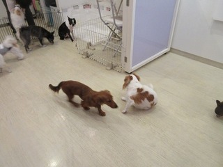 IMG_2963.jpg