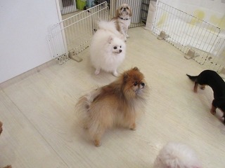 IMG_2967.jpg