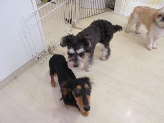 IMG_2975.jpg